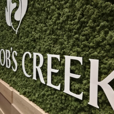 Advocem.com.pl - ściana Jacobs Creek reklama wizualna warszawa